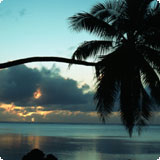 Foto01